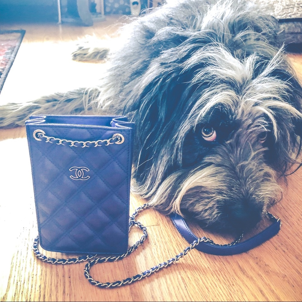 Chanel Quilted Clutch with chain